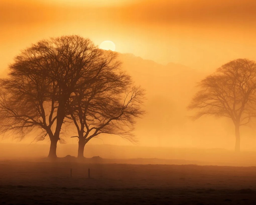 Poszter 50x40cm Alkonyat a tisztások felett