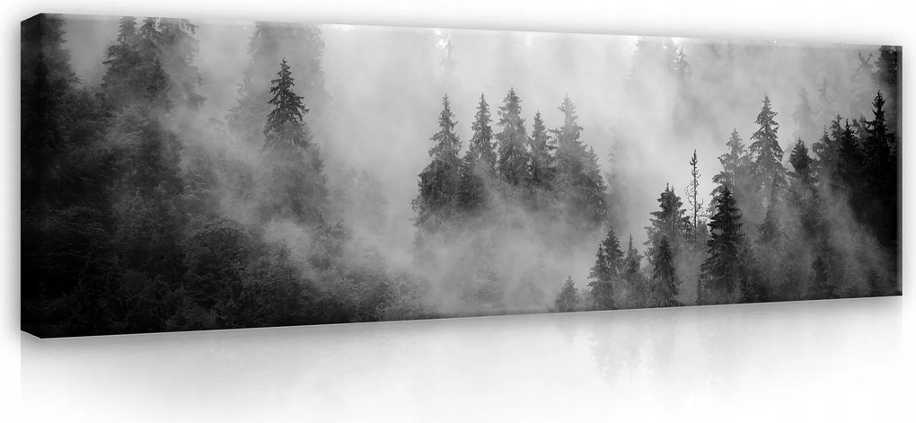 Vászonkép Fekete-fehér Erdő A Ködben Vászon Fal A Nappali Hálószobájába 145x45