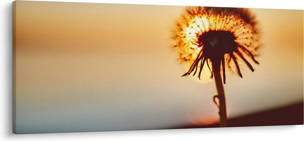 Egy pitypang képe naplementekor (120x50 cm)