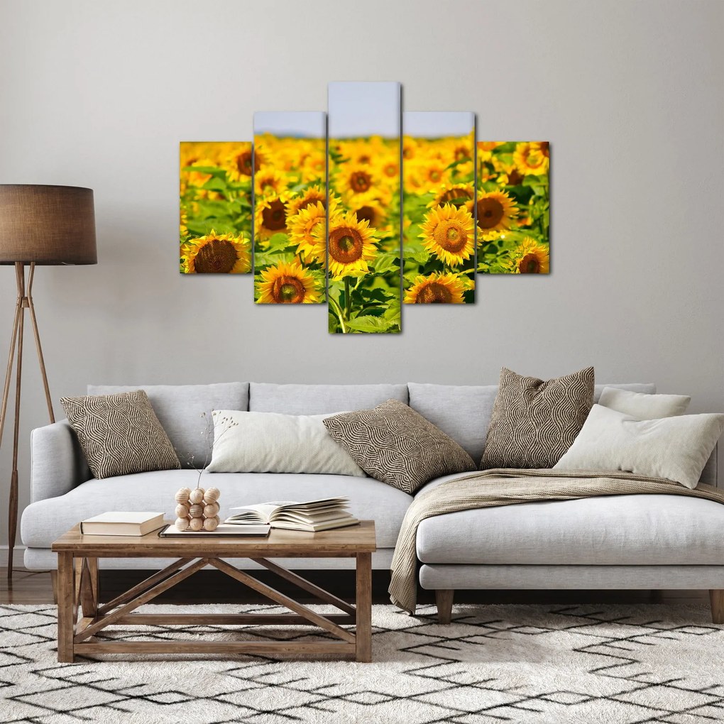 Kép - Napraforgók (150x105 cm)