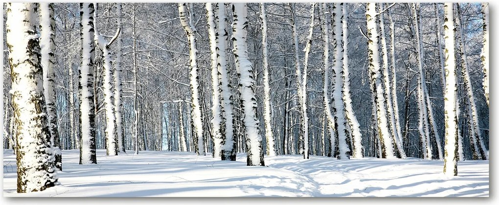 Foto Lacobel Üvegpanel Konyha Erdő Téli XXL