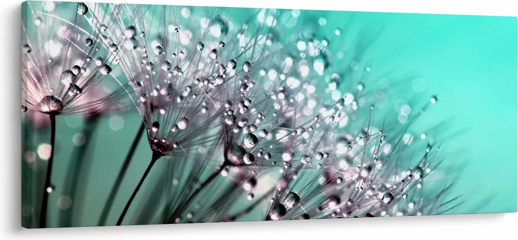 Kép - harmatos növény (120x50 cm)