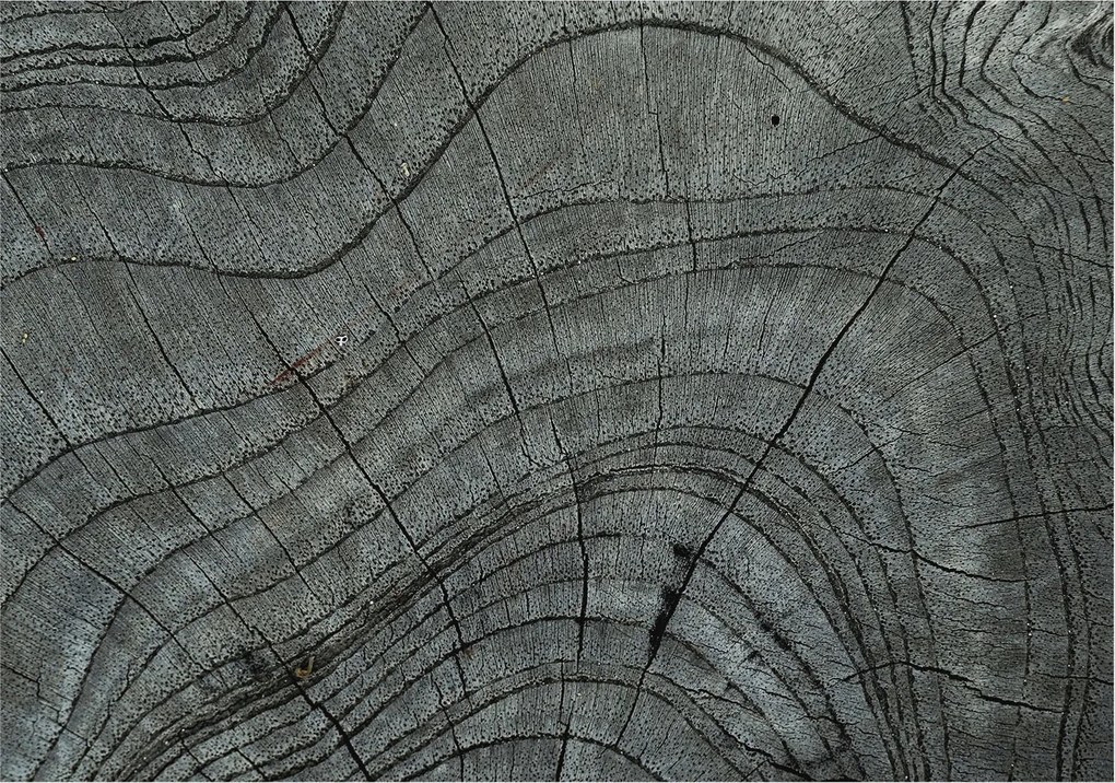 Flizelina fotótapéta Nappaliba és Hálószobába Befőttesüveg mintás 312x219 Ragasztó