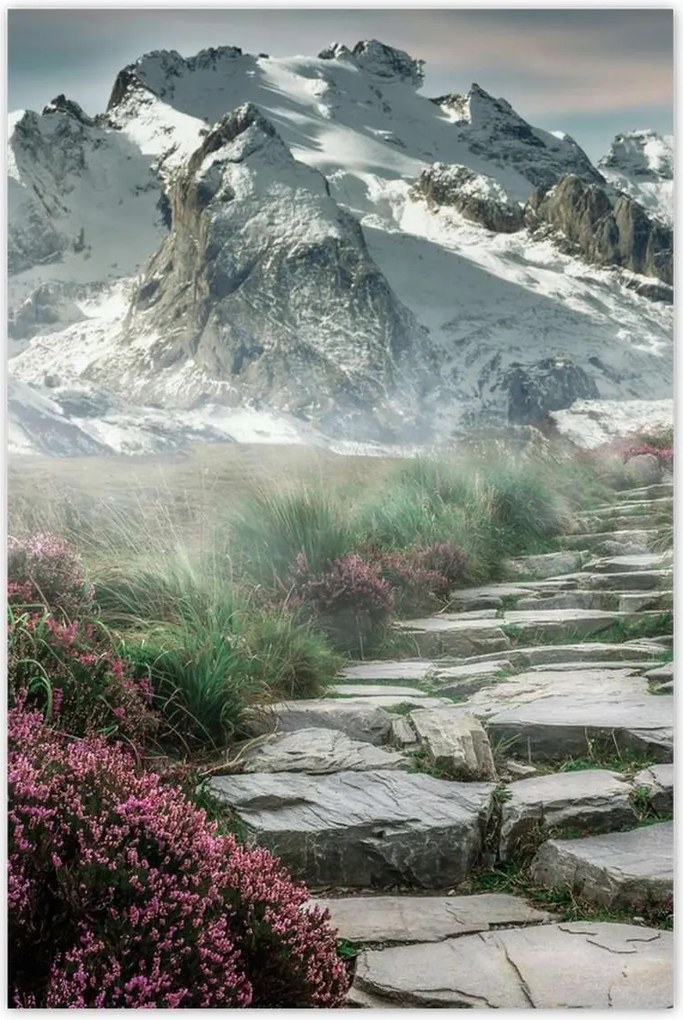 Poszterek 62x93 Hegyi kilátás Tájkép Köd