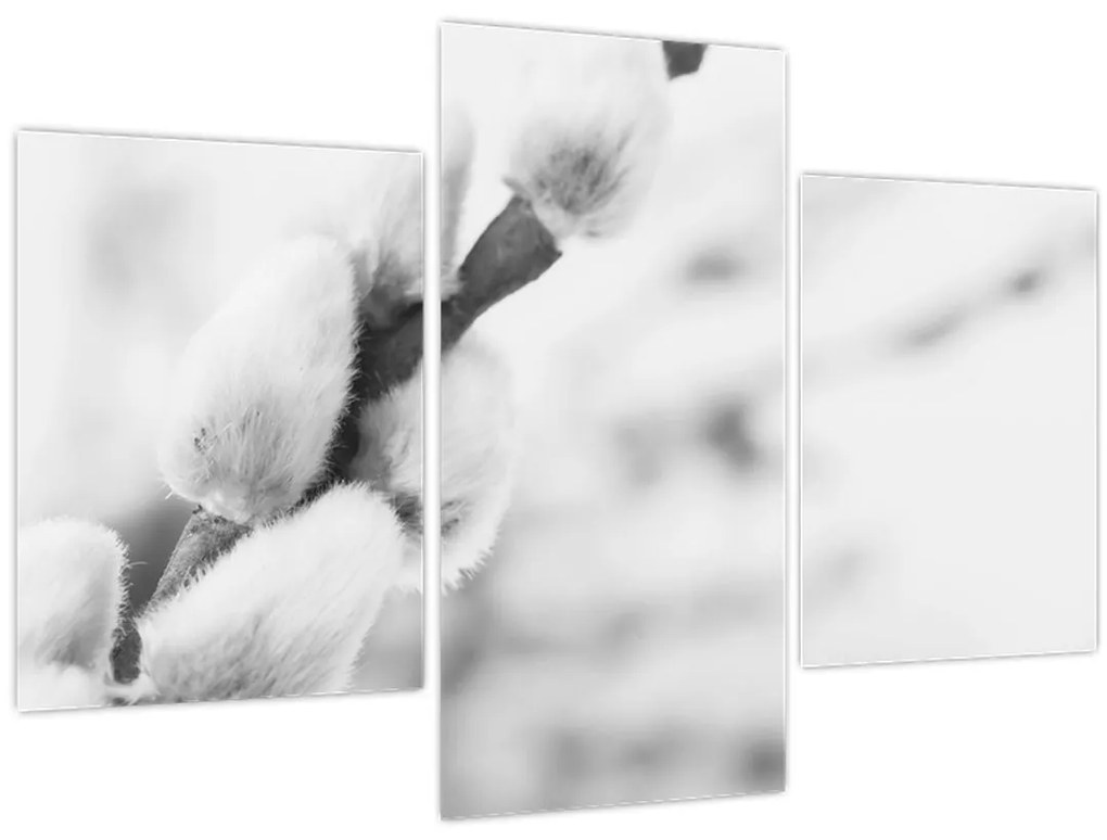 Kép - A tavasz kezdete (90x60 cm)