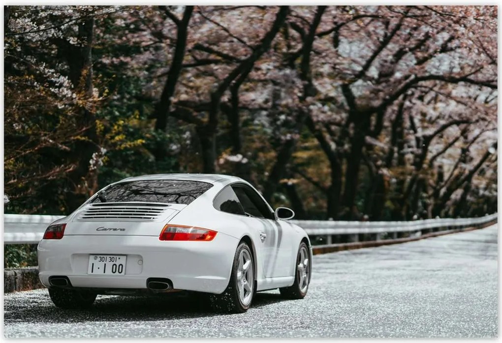 Poszterek 200x135 Porsche Autó