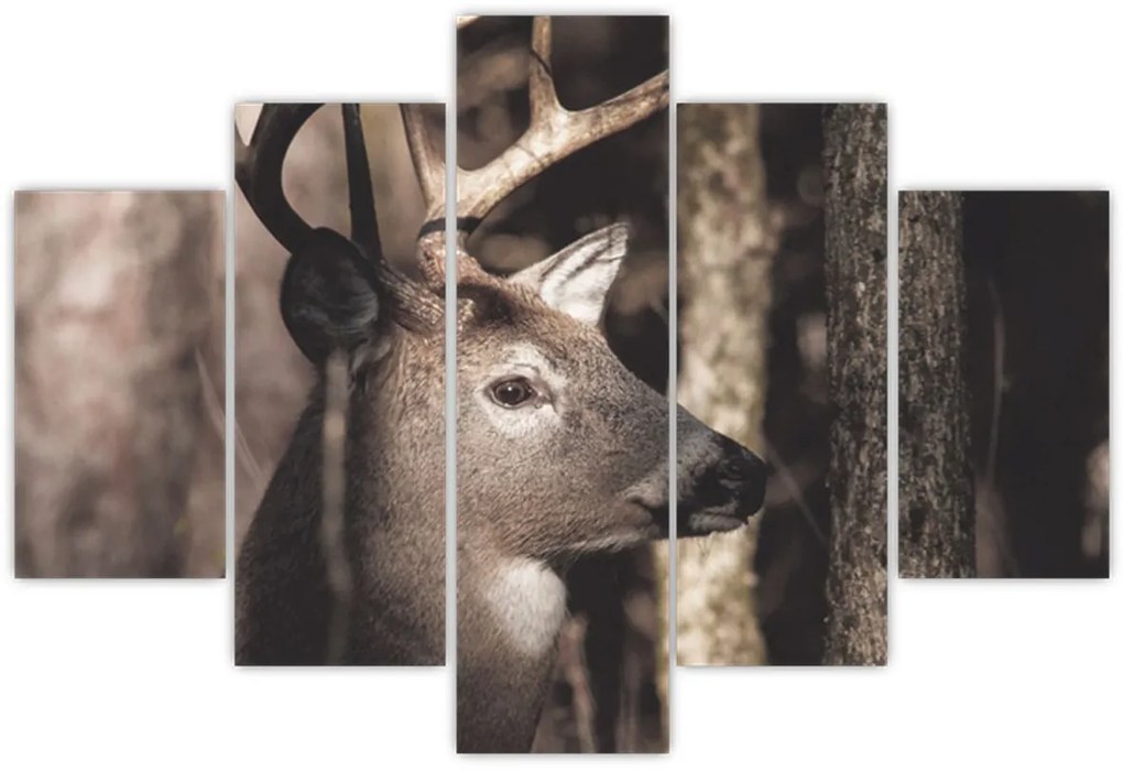 Kép - Szarvas az erdőben (150x105 cm)