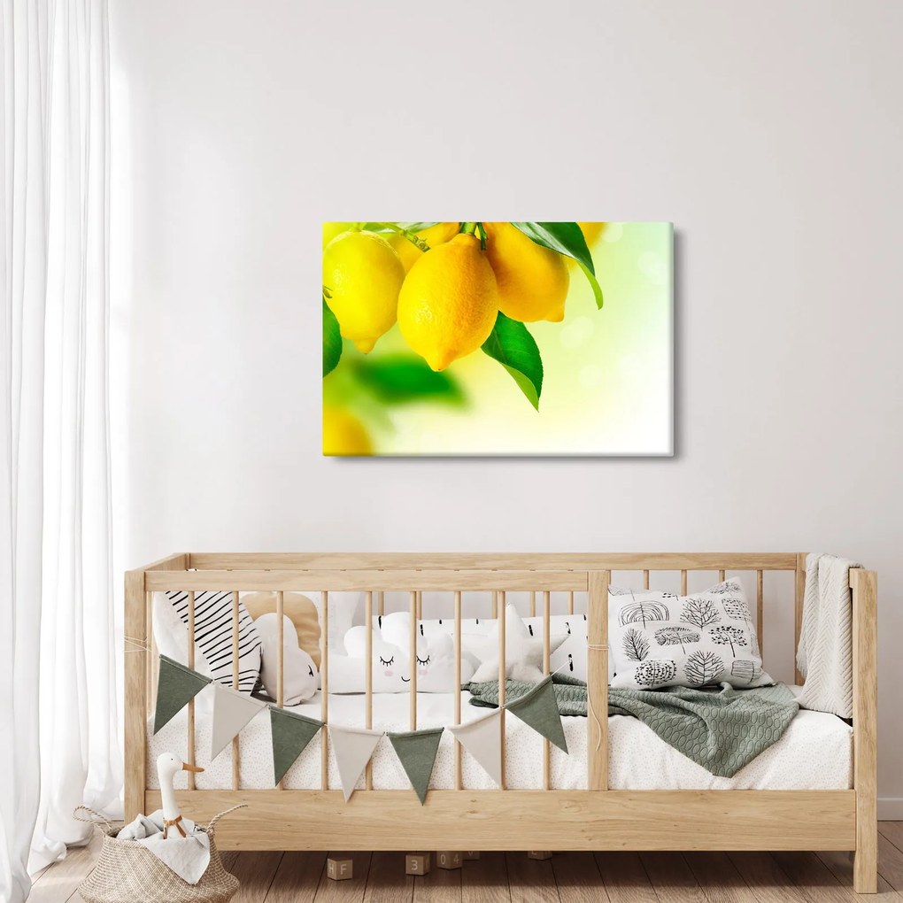 A citrom képe (90x60 cm)