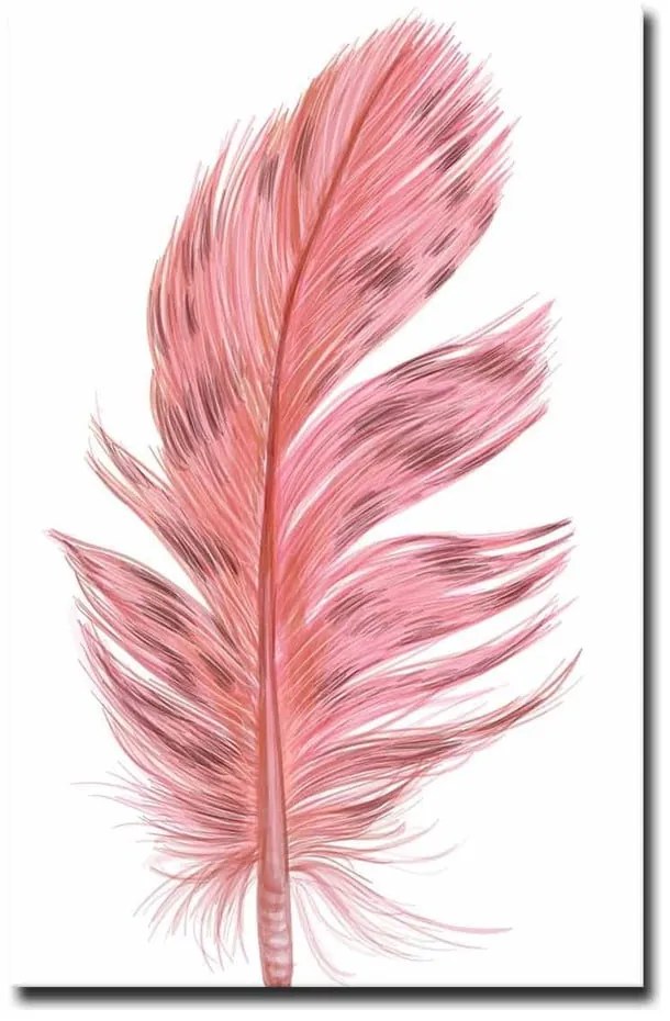 Kép 45x70 cm Feather – Wallity