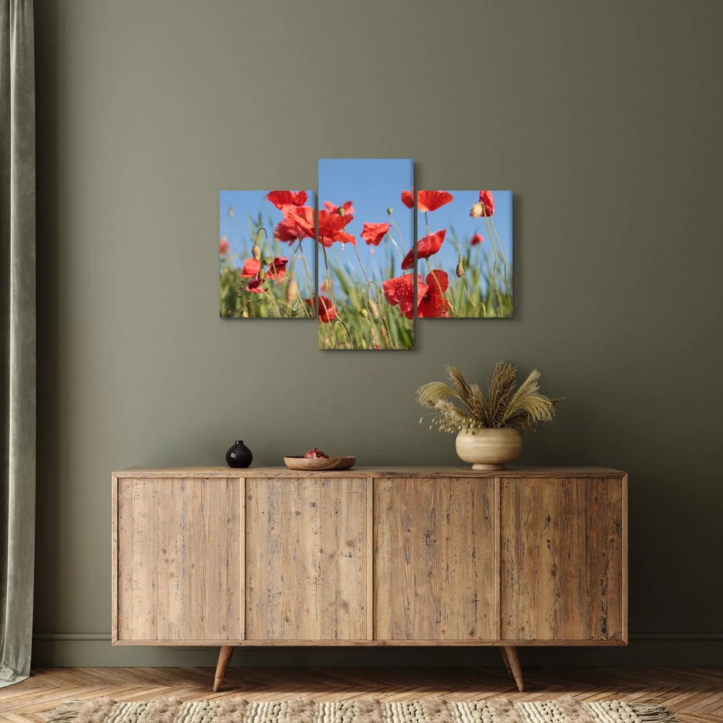 Kép - Pipacsok (90x60 cm)