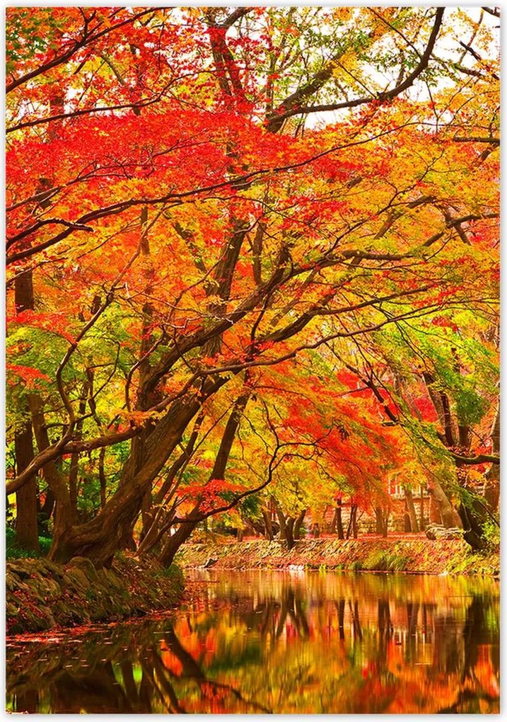 Poszterek 70x100 Őszi tájkép folyóval