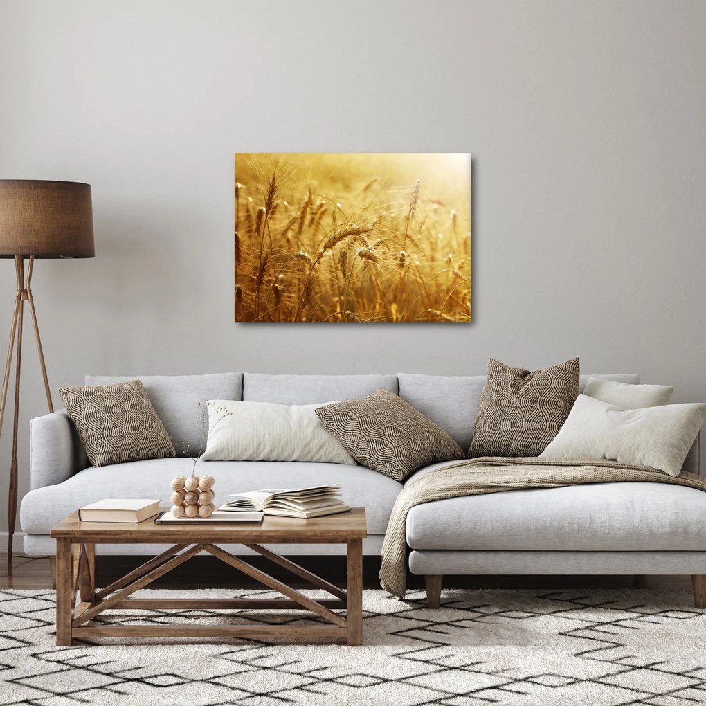 Kép - Gabonafül (70x50 cm)