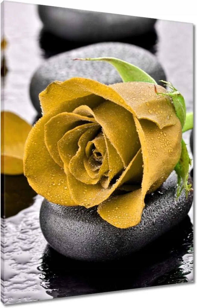 Vászonkép 60x80 Sárga rózsa köveken