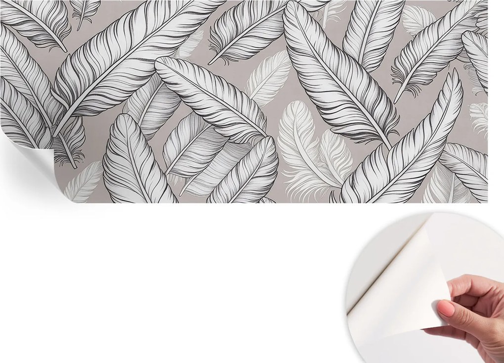 Fotótapéta Fali tapéta Hálószobába és Nappaliba Finom tollak 250x104 cm