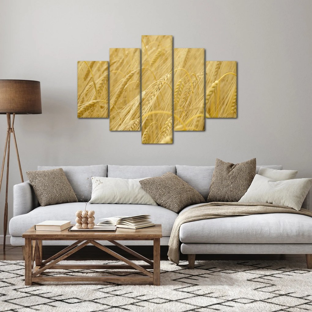 Kép - Árpa (150x105 cm)