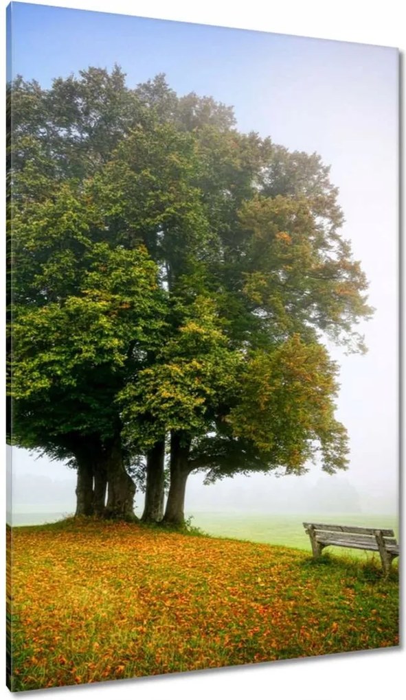 Vászonkép 80x120 Tájkép paddal Fa