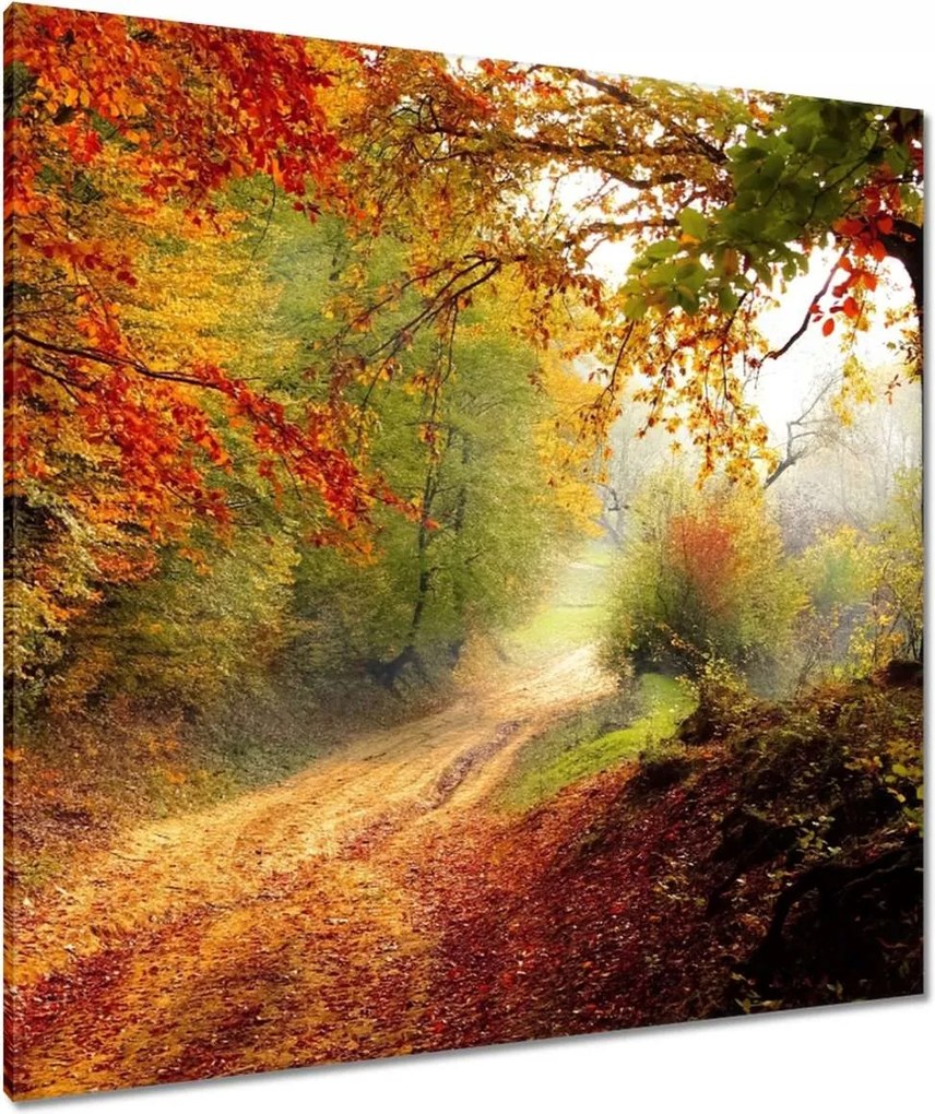 Vászonkép 90x90 Tájkép