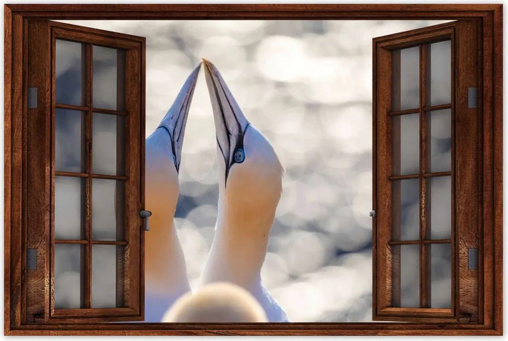 Poszterek 90x60 Madarak