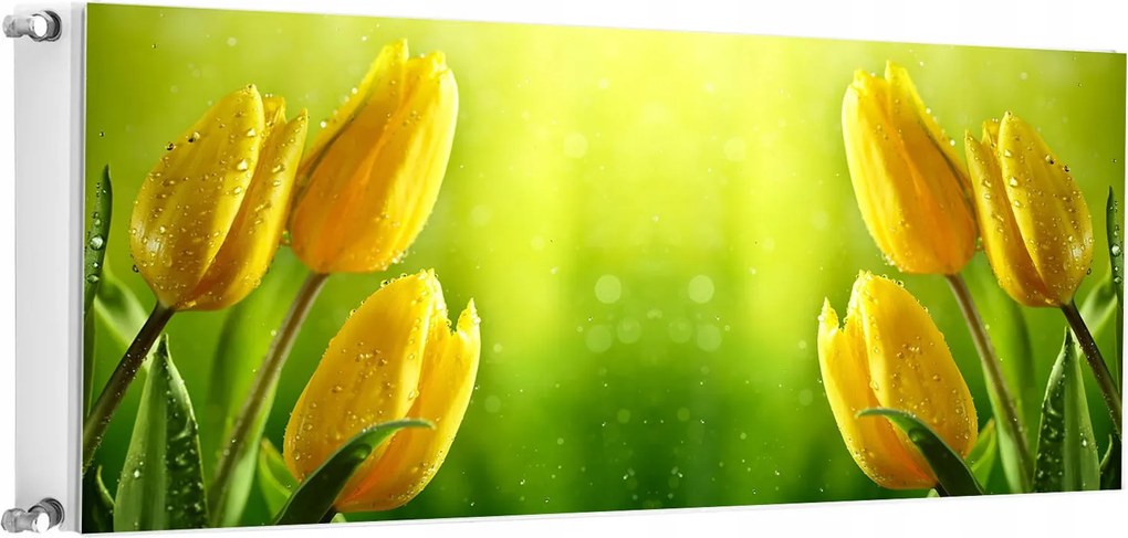 Mágneses Radiátorszőnyeg 140x60 Tulipán Fotótapéta