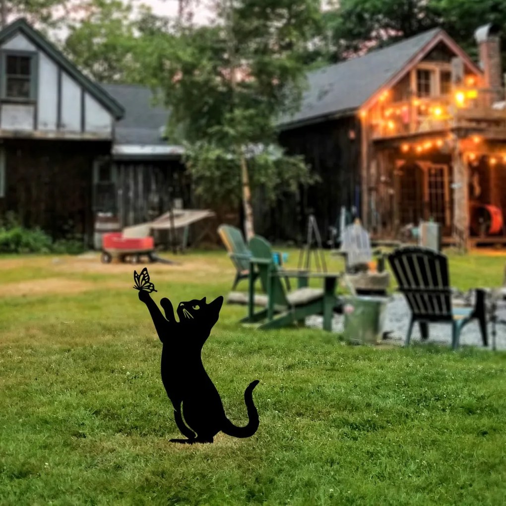 Cat 01