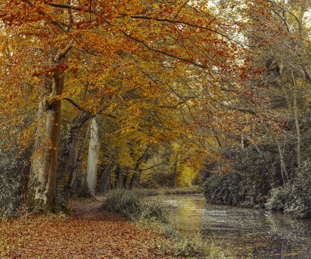 Poszter 60x50cm Ösvény a csatornánál, Assaf Frank