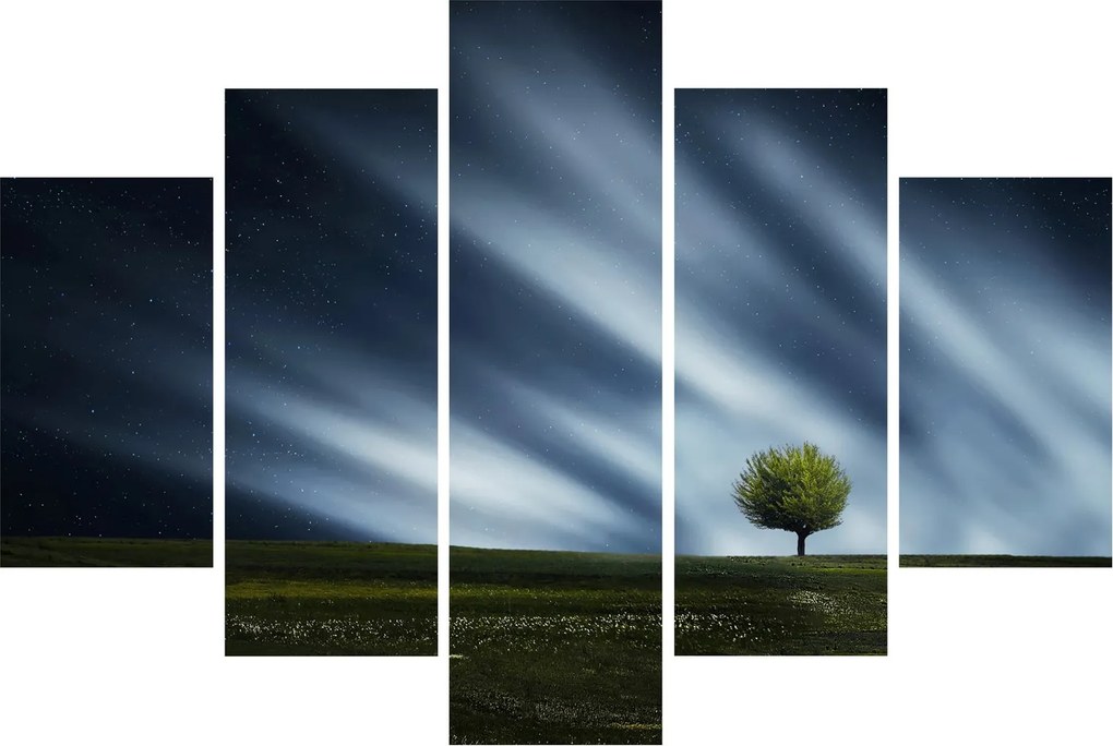 Az aurora borealis képe egy lápvidéken (150x105 cm)