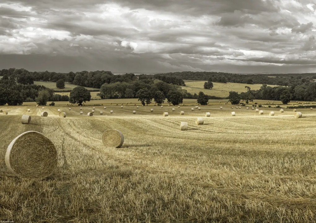 Poszter 42x29,7cm Szénakazalok a mezőkön 3, Assaf Frank