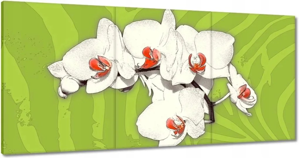 Vászonkép 120x60 Lime és orchidea