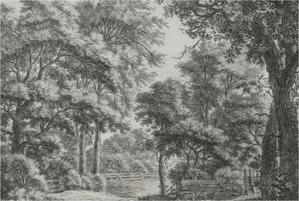 Flizelin tapéta Flizelin Fali Prémium Erdei táj 104x70 Ragasztó