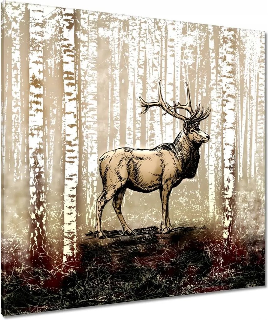 Vászonkép 90x90 Szarvas Nyírfa Erdő