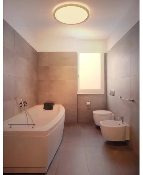 Globo 41562-24MM -LED dimmelhető fürdőszobai lámpa SAPANA LED/24W/230V IP44