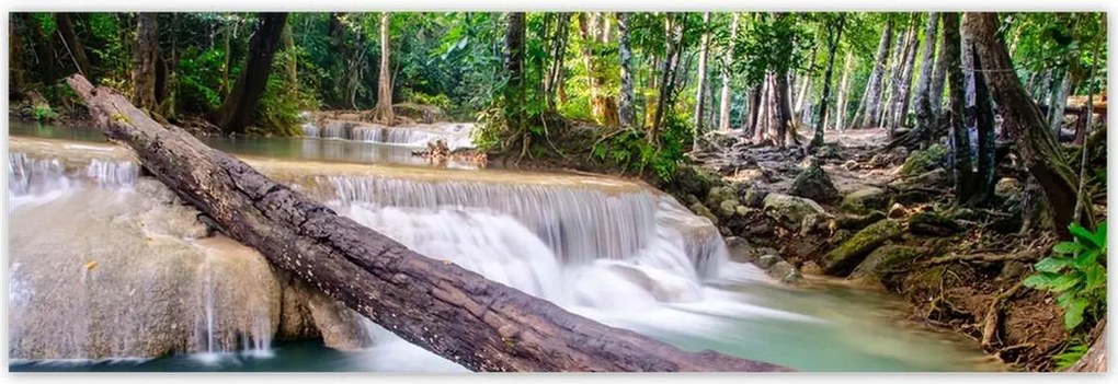 Poszterek 200x66 Kidőlt fa