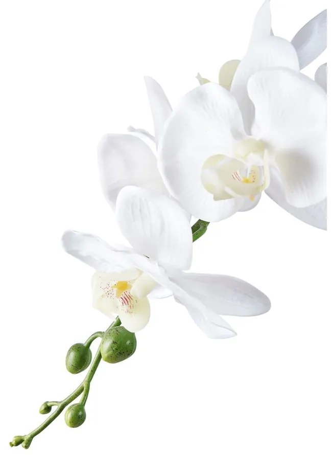 Művirág (magasság 47 cm) Orchid – House Nordic