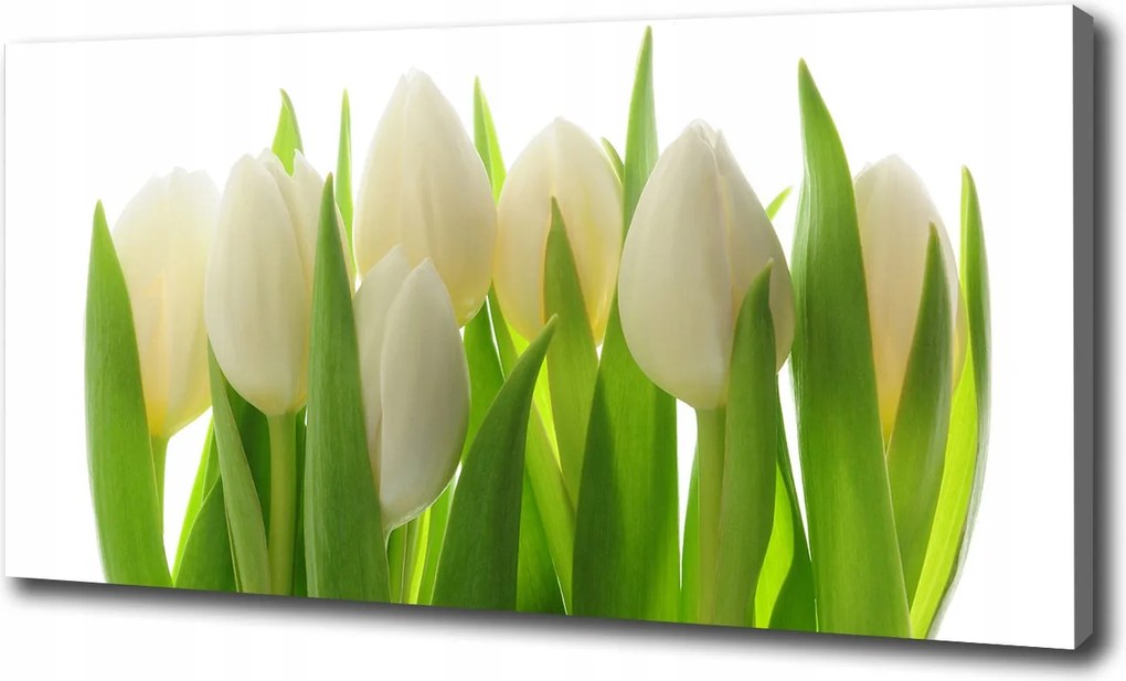 Canvas falikép Tulipánok 120x60 cm