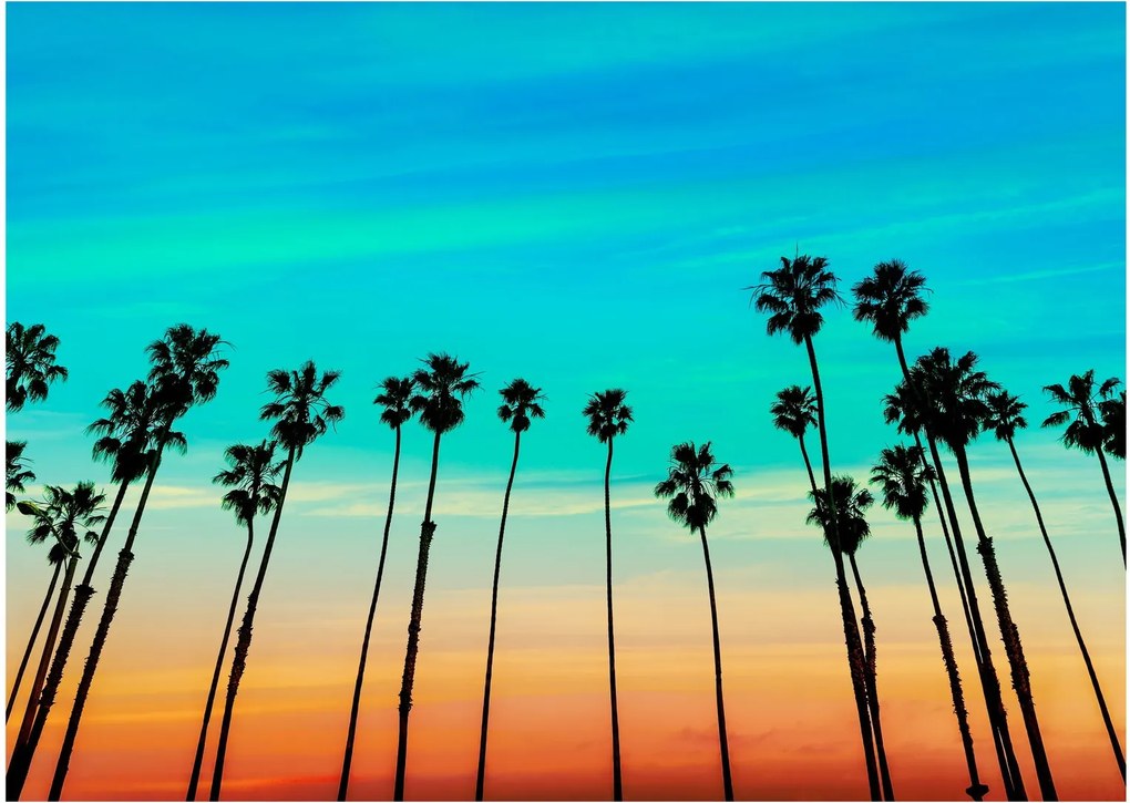 Üveg kép - Kalifornia (70x50 cm)