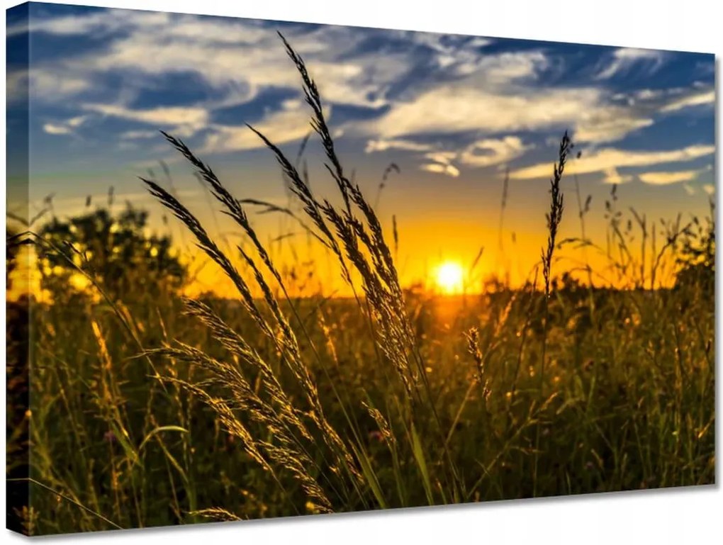 Vászonkép 30x20 Naplemente a füvek között