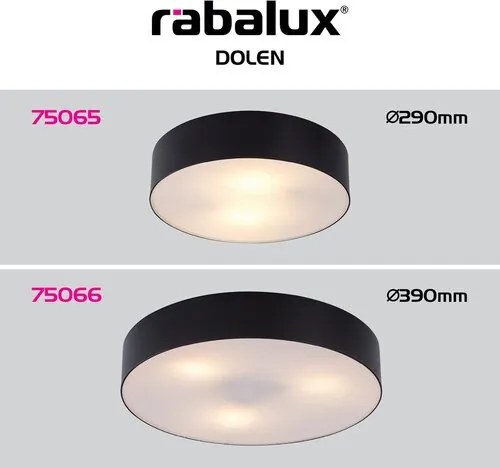 RÁBALUX 75065 DOLEN Modern Kültéri Mennyezeti Lámpa Fekete E27 IP44