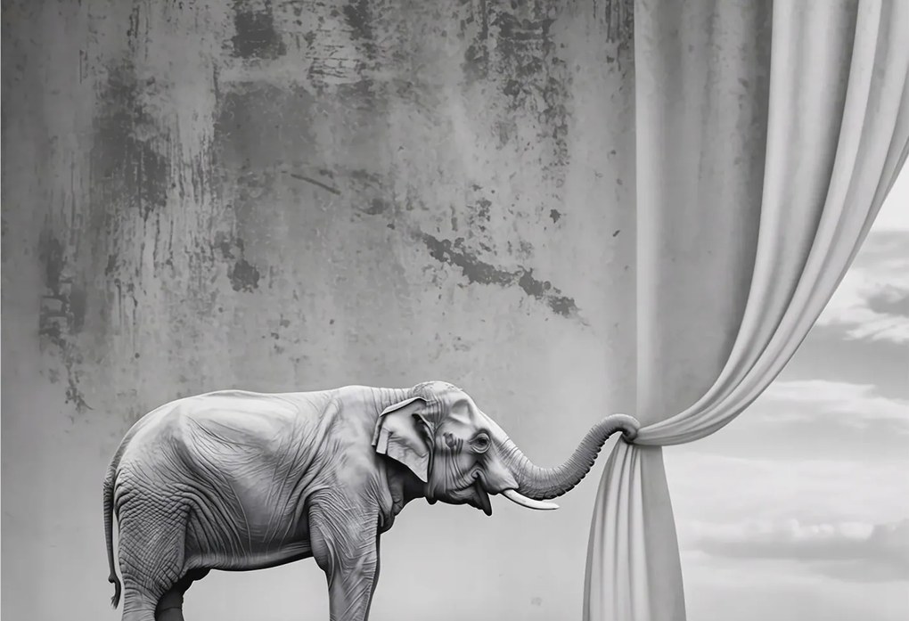 Fotótapéta Flizelina falra 3D Loft Szürreális elefánt 152x104 Ragasztó