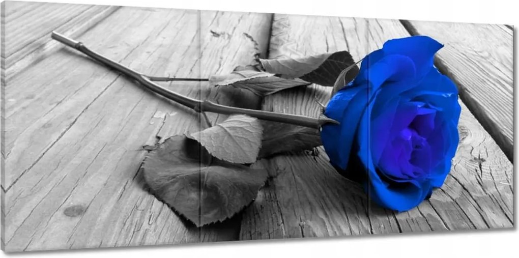 Vászonkép 150x70 Kék rózsa Ajándék