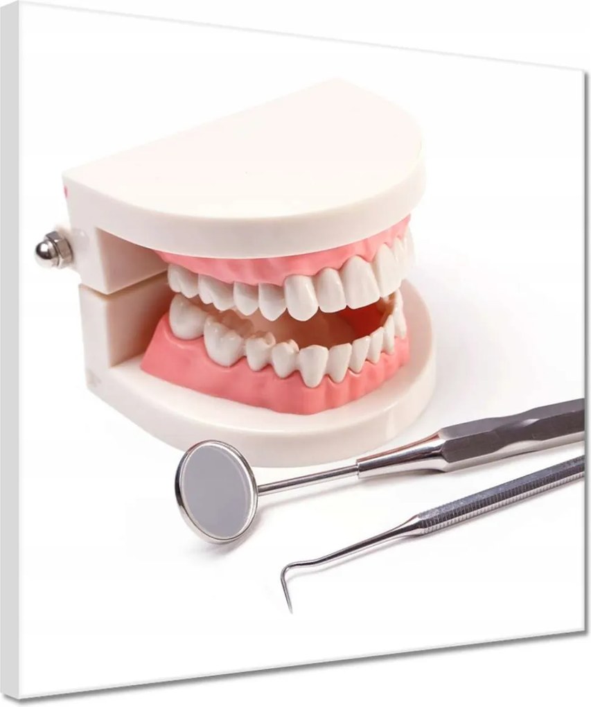 Vászonkép 30x30 Állkapocs tükörrel