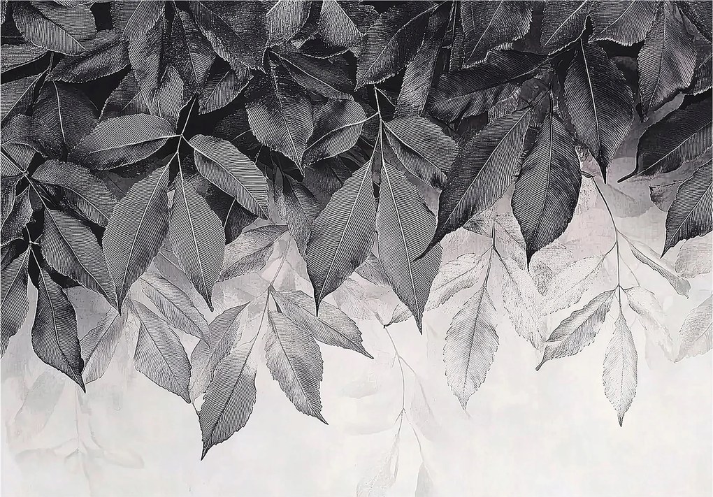 Fotótapéta levelek 3D Hatás Modern elegáns nappali hálószoba Szuper Hatás