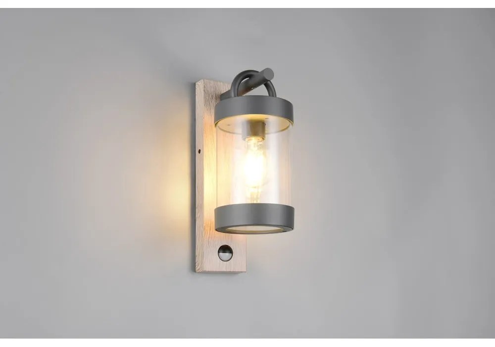 Fali kültéri lámpa (magasság 33 cm) Sambesi – Trio