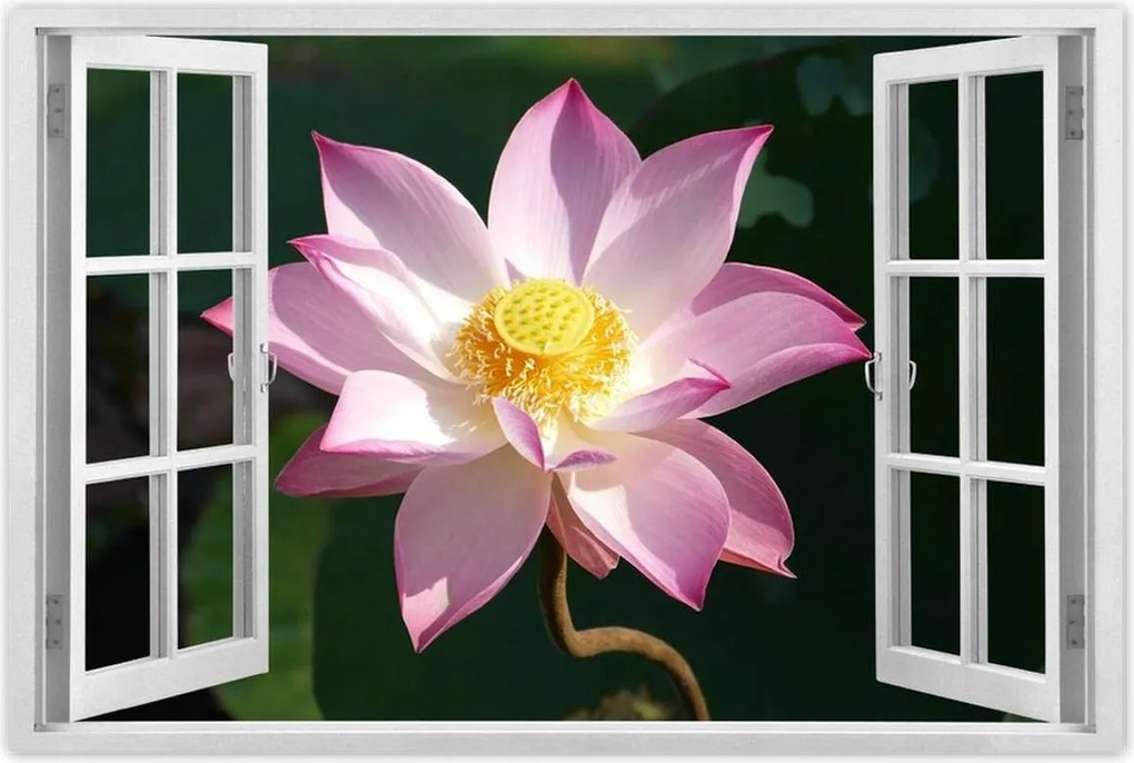 Poszterek 90x60 Lótusz Lótuszvirág