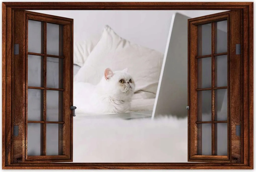 Poszterek 120x80 Cica Cicák Macskák