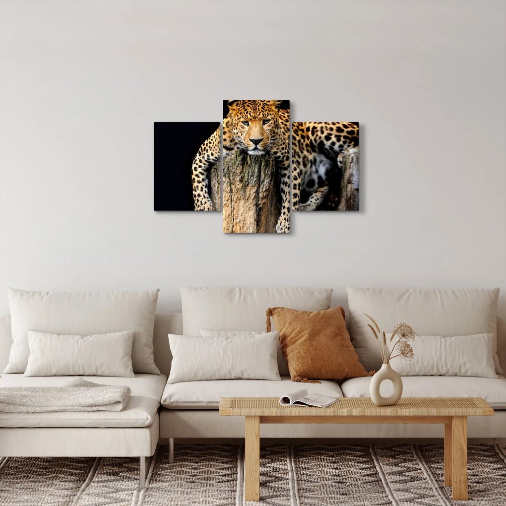 Kép - Gepárd (90x60 cm)