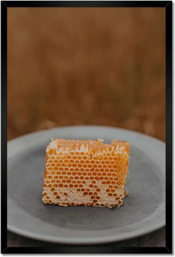 Poszterek keretben 40x60 Méz Méhészet