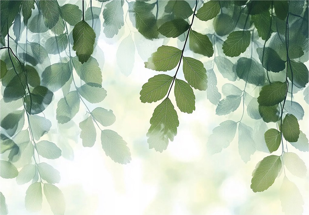 Fotótapéta Levelek Zöld Természet Hálószoba Nappali Tapéta Flizelina 200x140