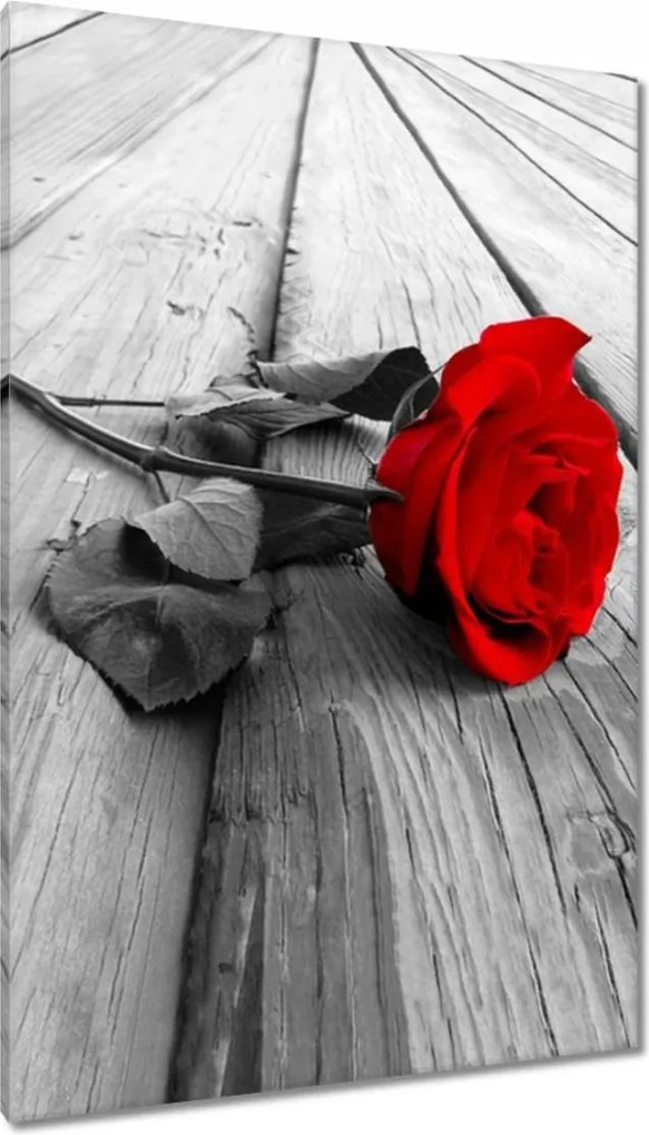 Vászonkép 80x120 Vörös rózsa a deszkákon