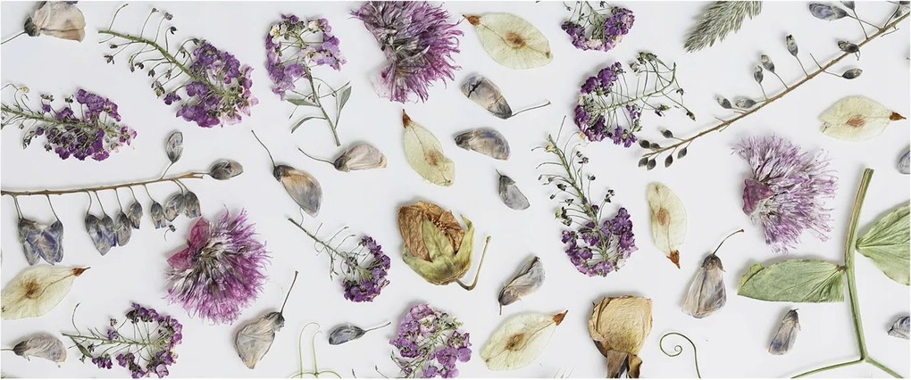 Flizelina Dekoratív Fotótapéta Hálószobába Szárított virágok 250x104 Ragasztó