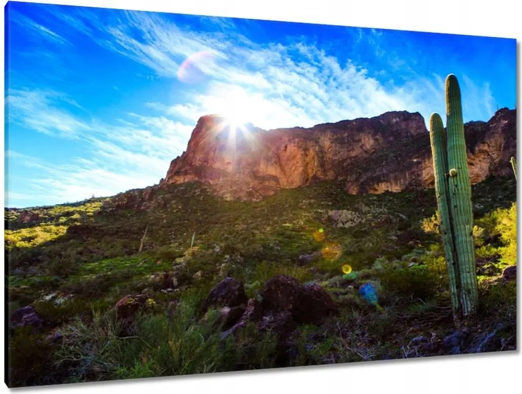 Festmények 120x80 Tájkép kaktuszokkal